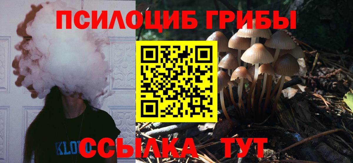 Псилоцибиновые грибы MAGIC MUSHROOMS Грязи