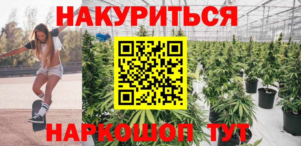 Бошки марихуана план  Марихуана план  Грязи  Вход с VPN  Каннабис MAZAR 